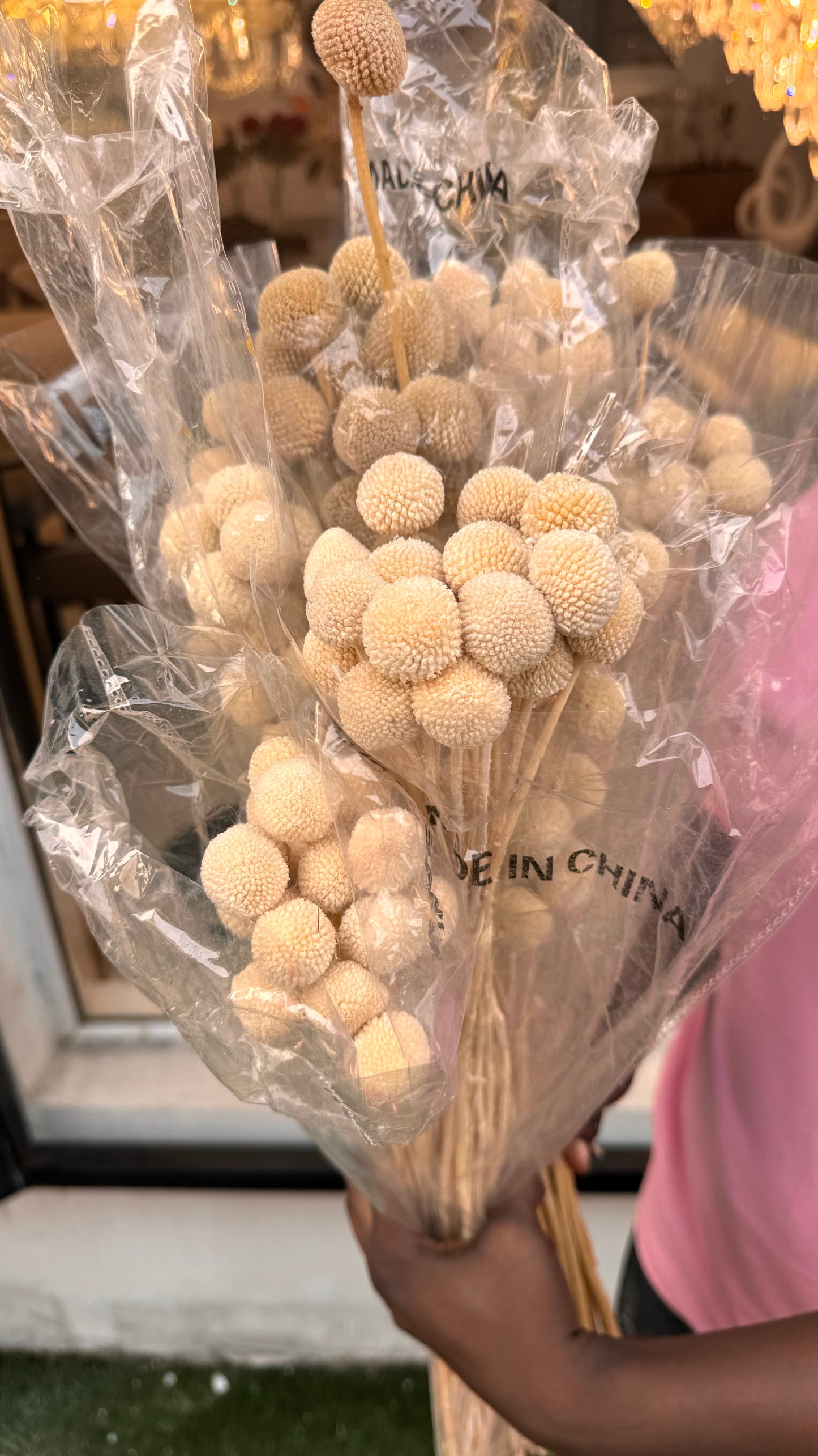Pampers grass(Clustered)