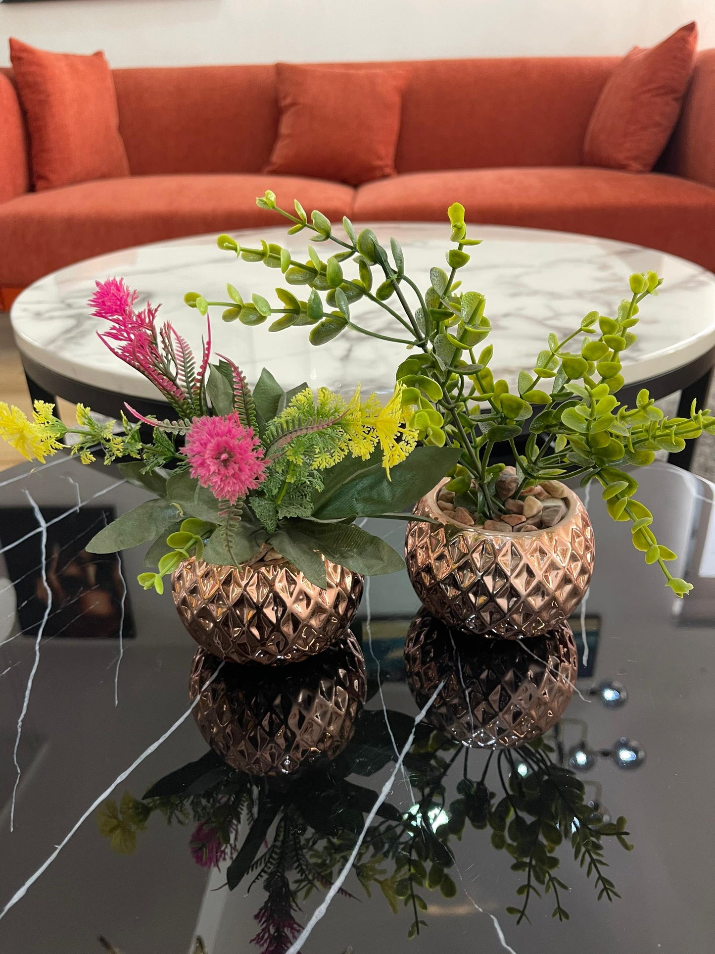 Dimple table plant