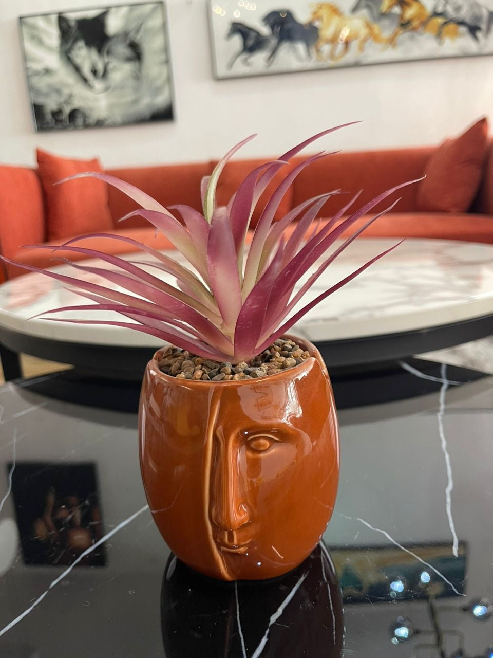 Table plants