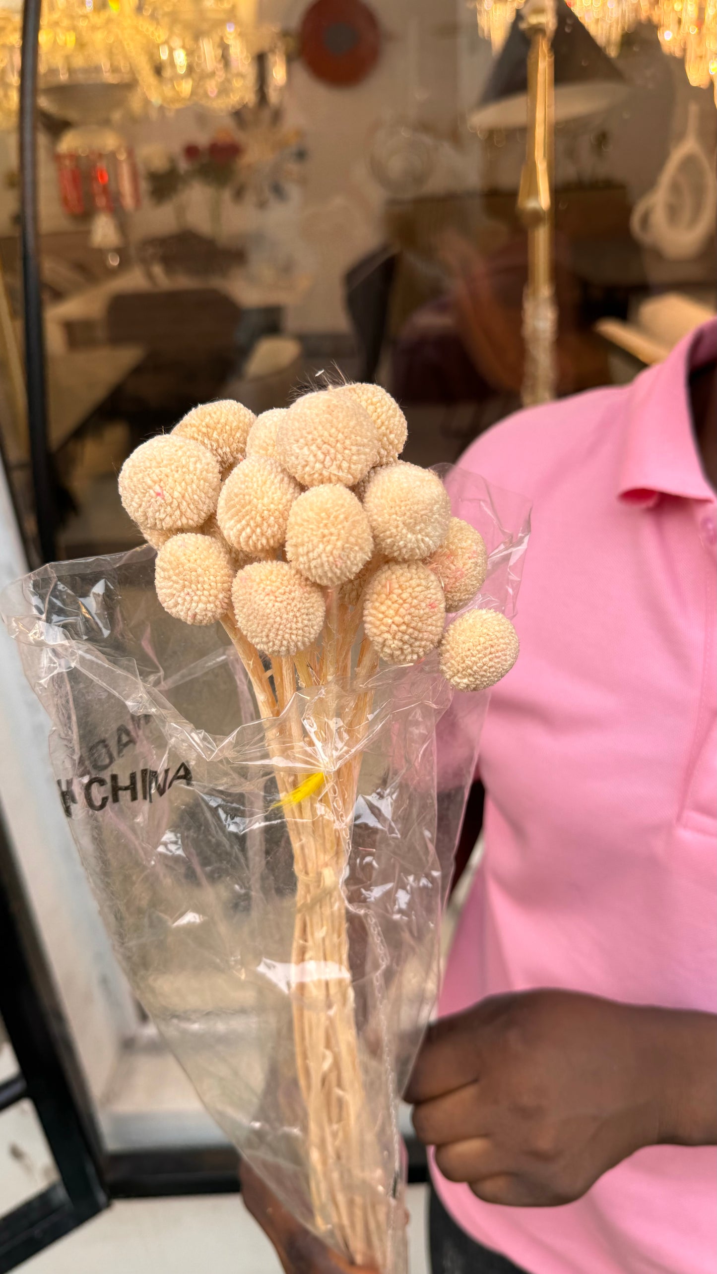 Pampers grass(Clustered)