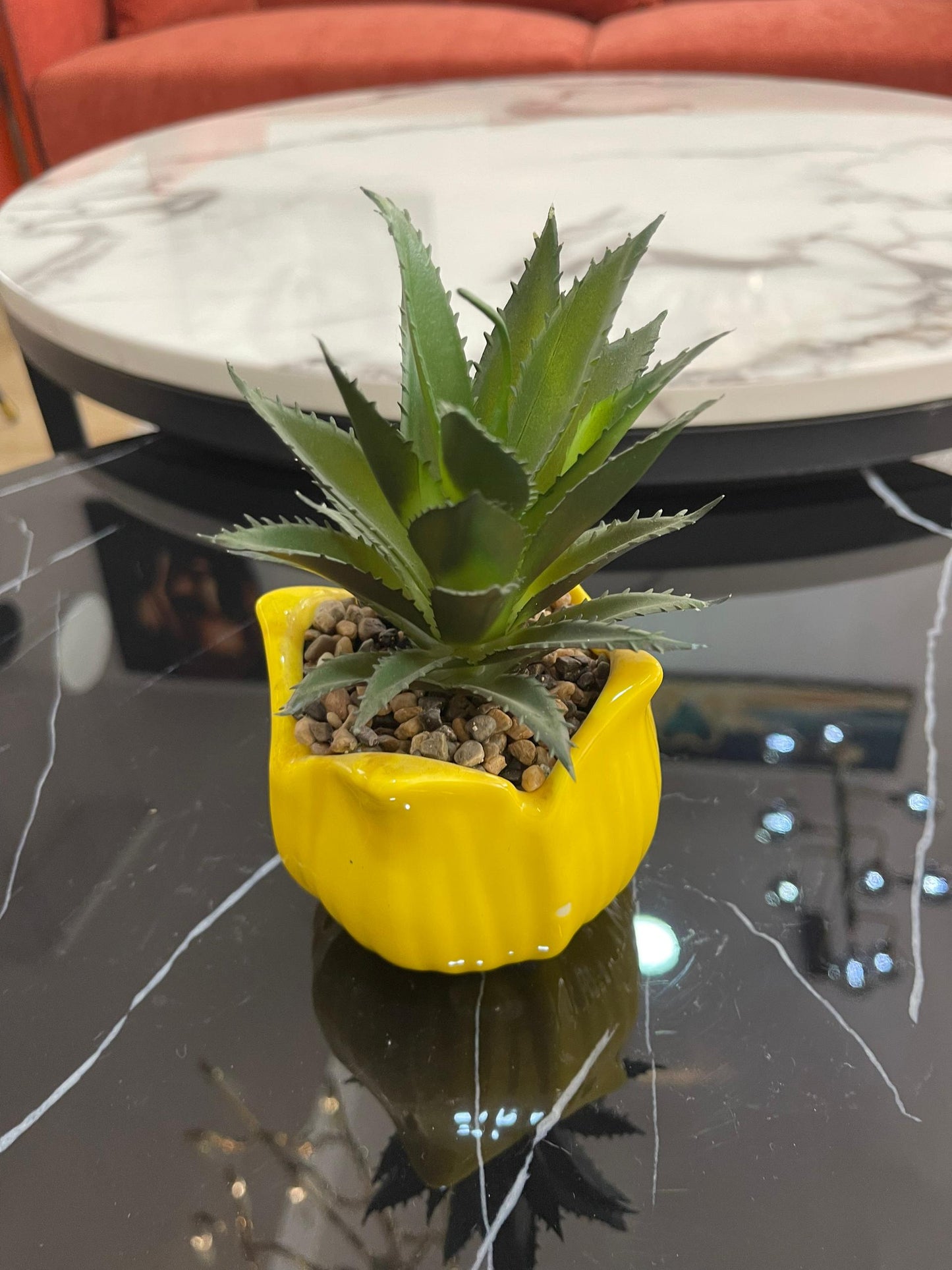 Table plants