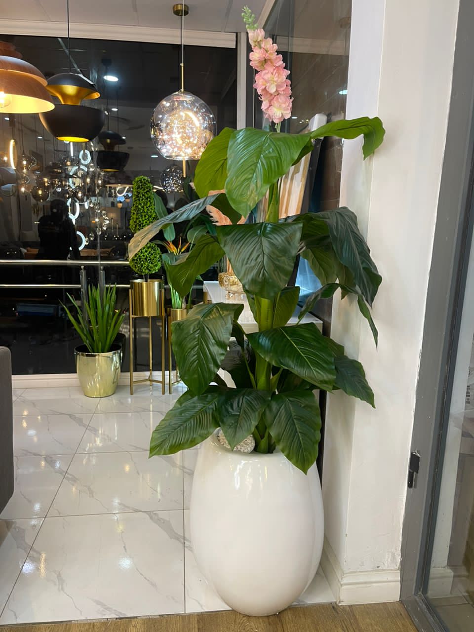 Fiber pots and plant