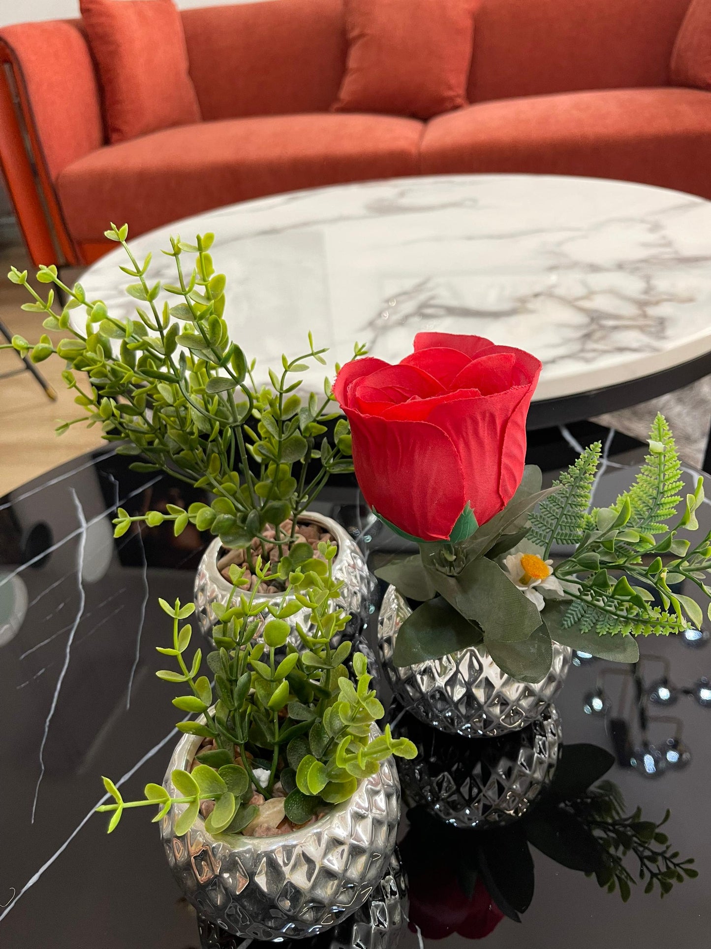 Dimple table plant