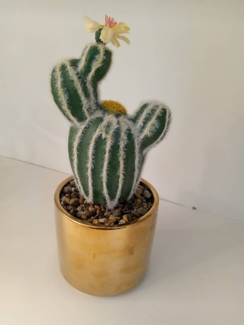 Gold Base Table plant