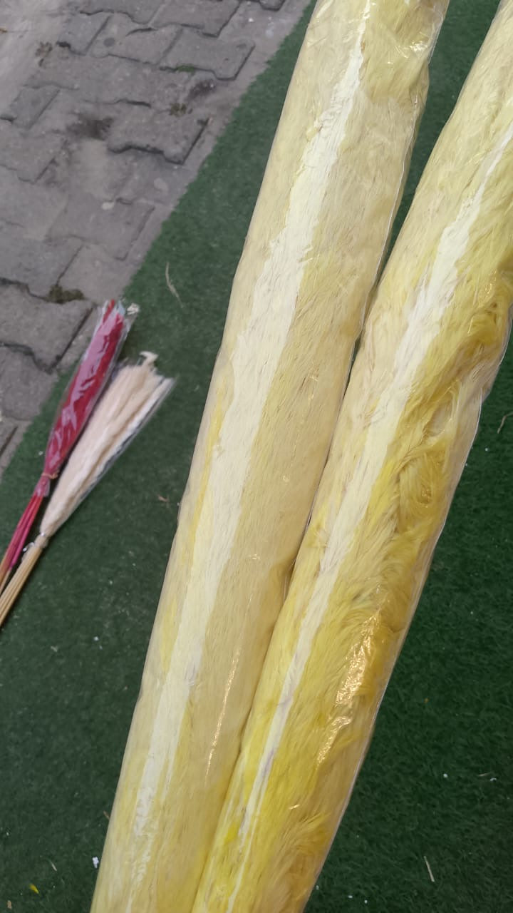 Pampers grass