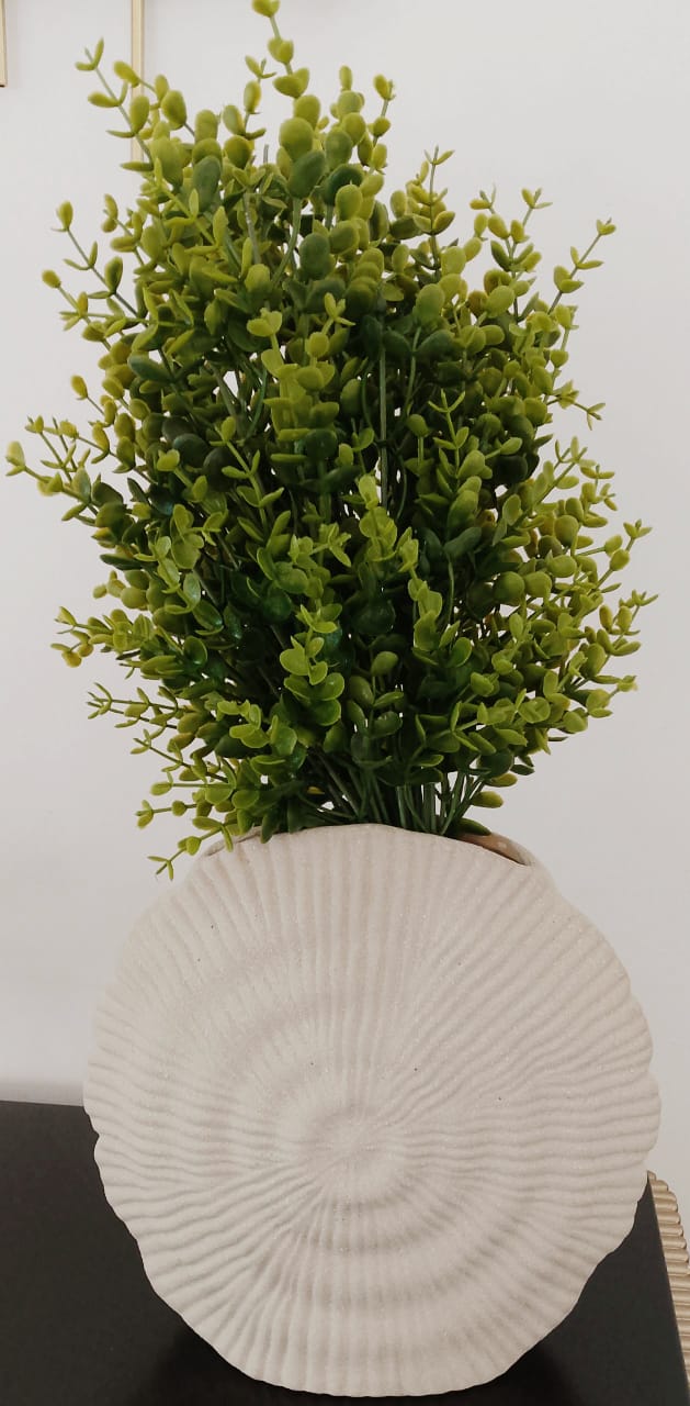Vase and plant