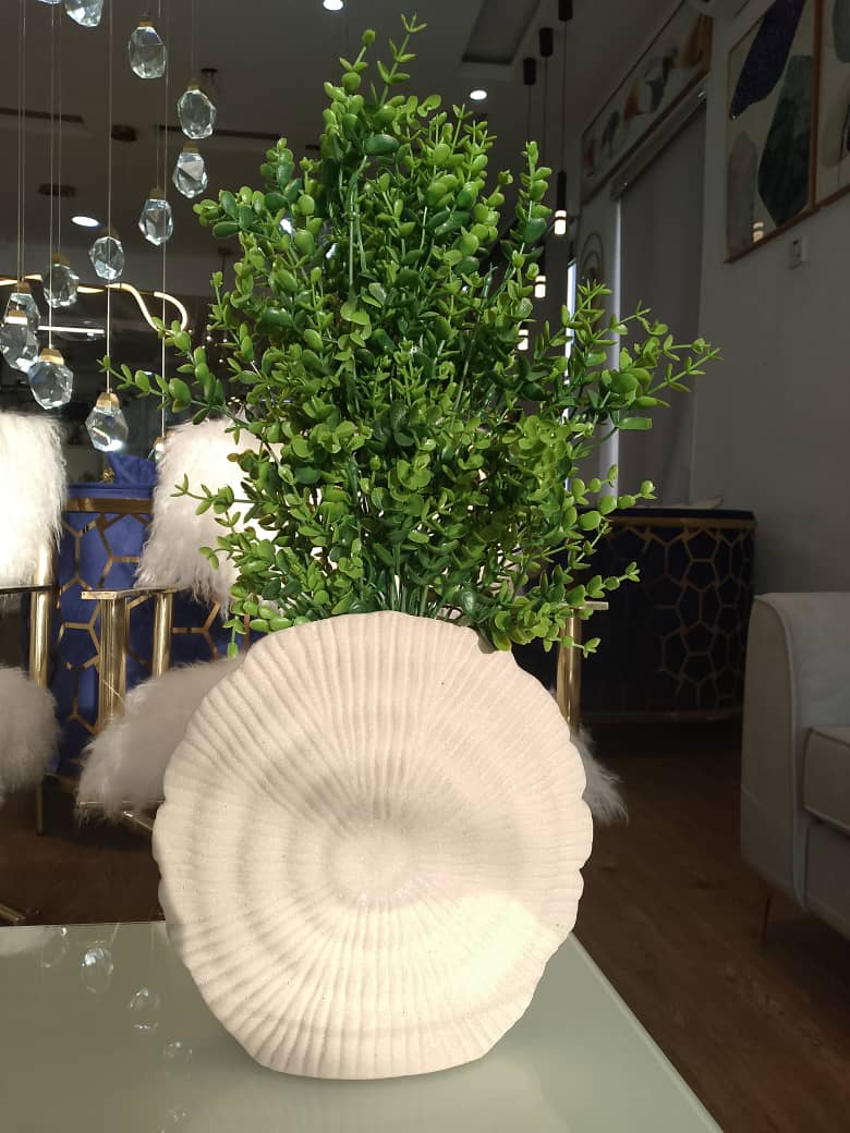 Vase and plant