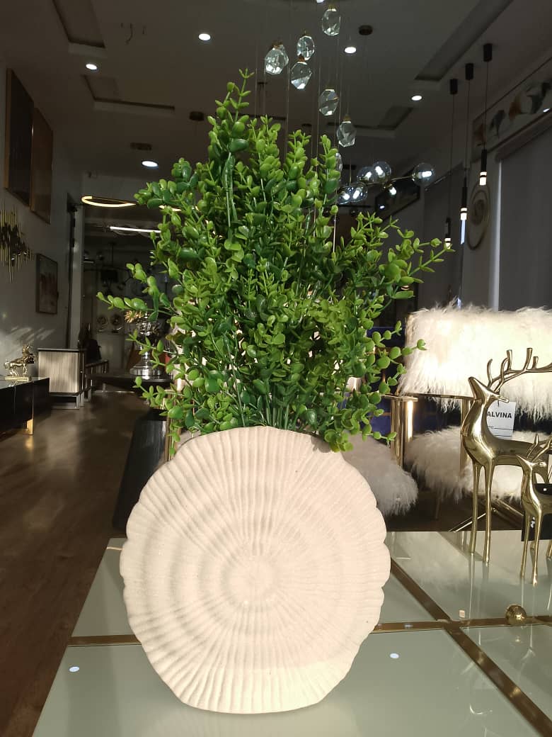 Vase and plant