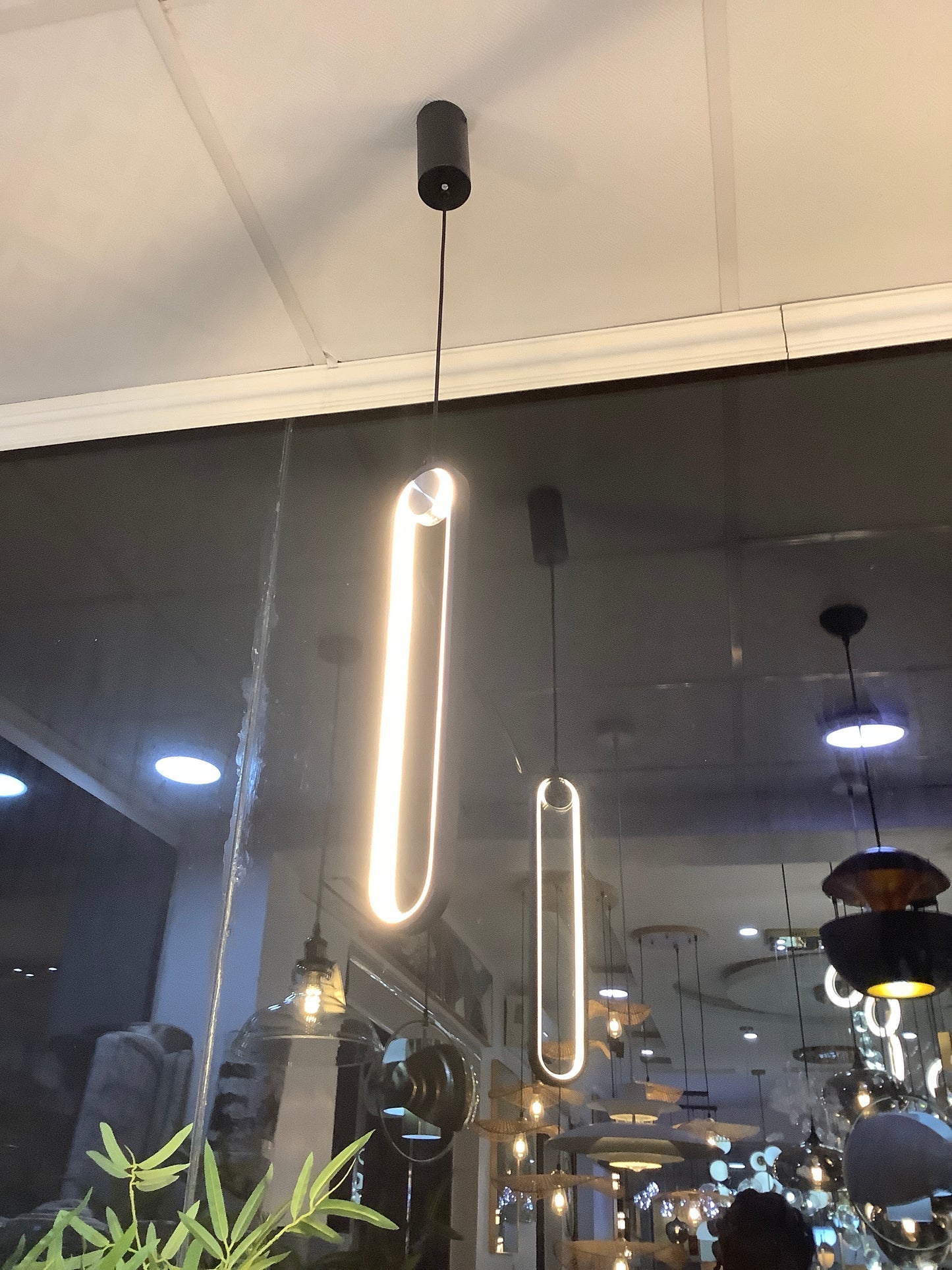 Oval Pendant Light