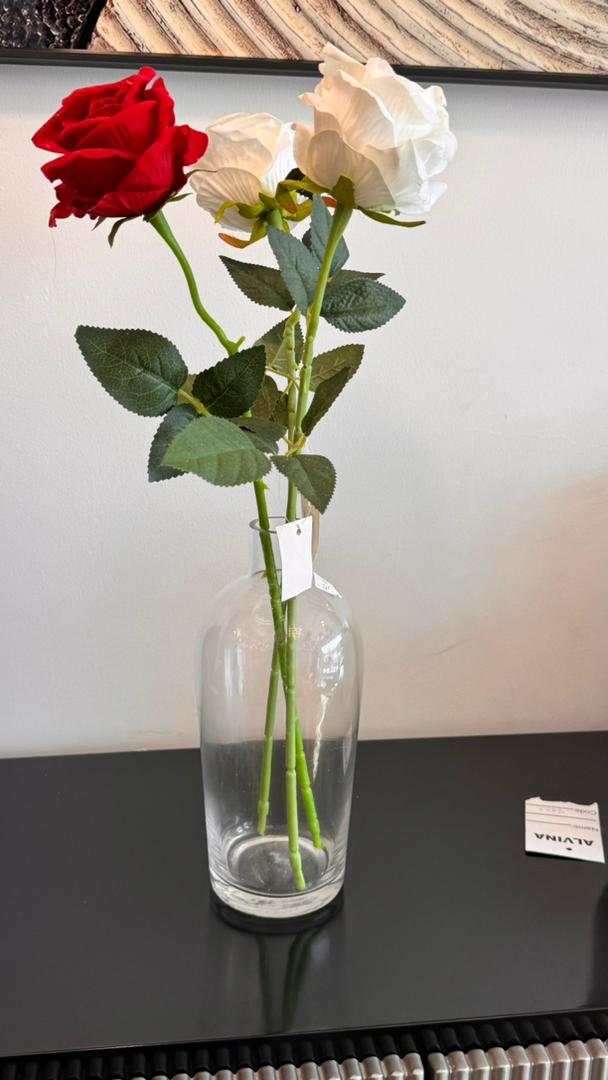 Vase and rose