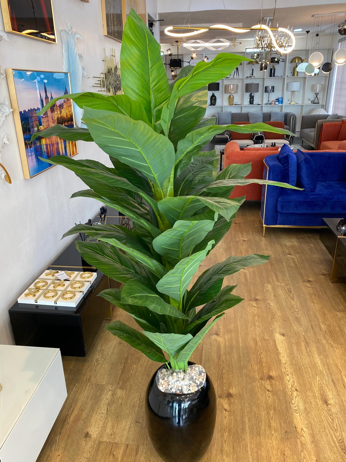 Medium fibre pot with plant