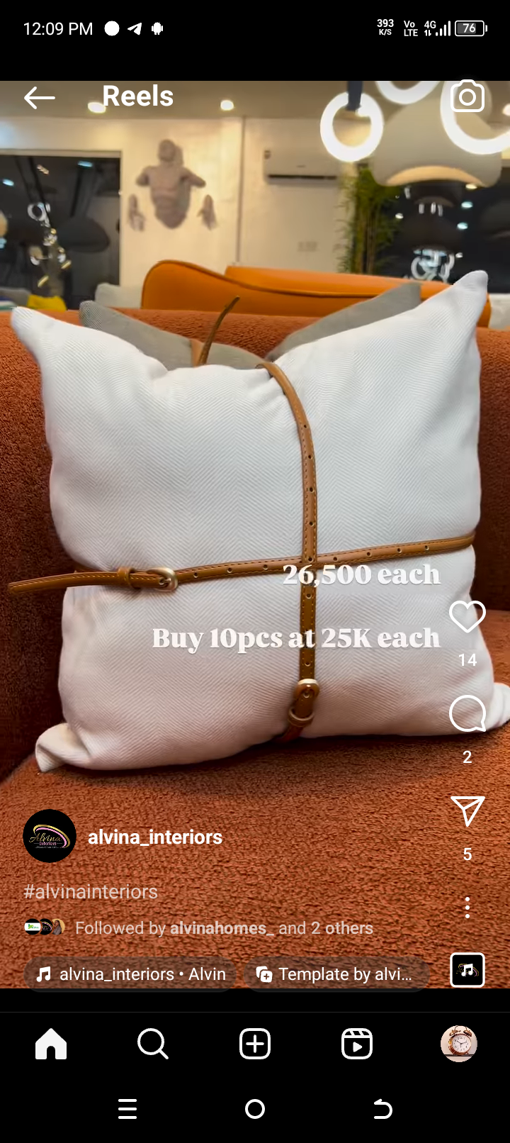 Throw pillows