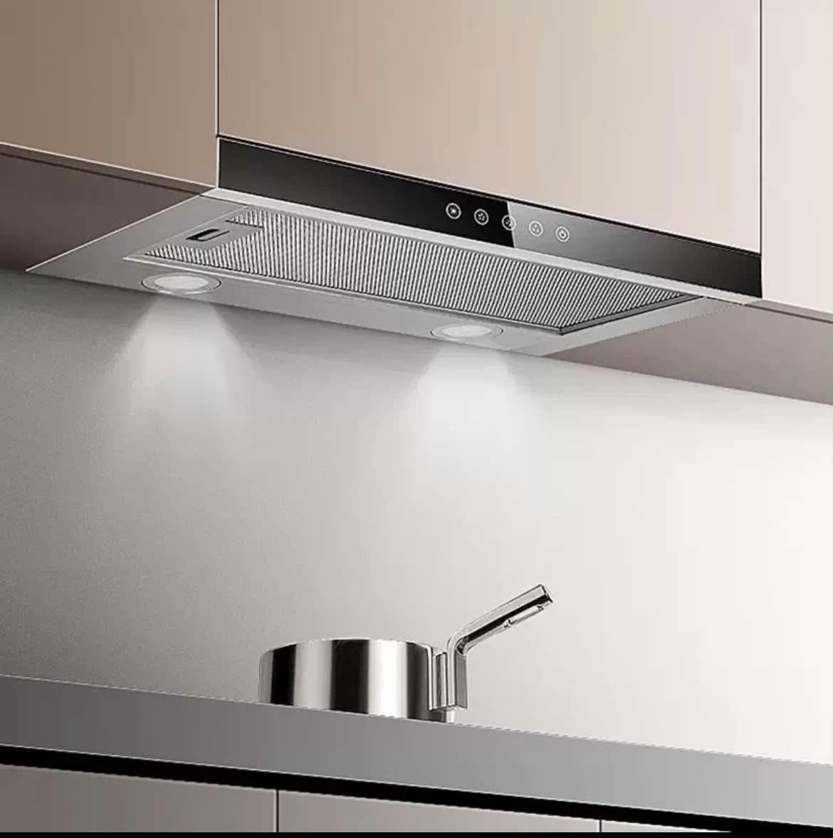 Pull out Range hood