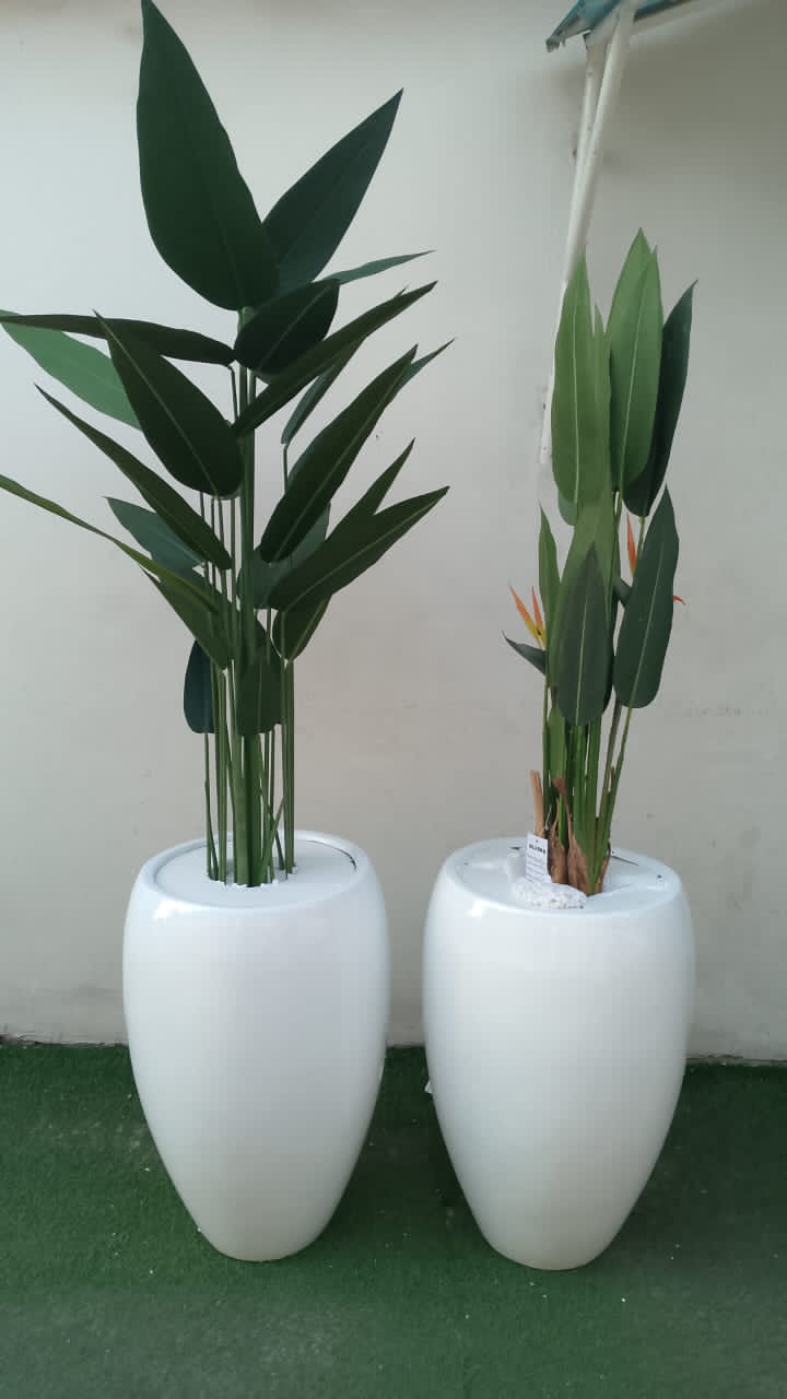Biggest Fibre pot and planter