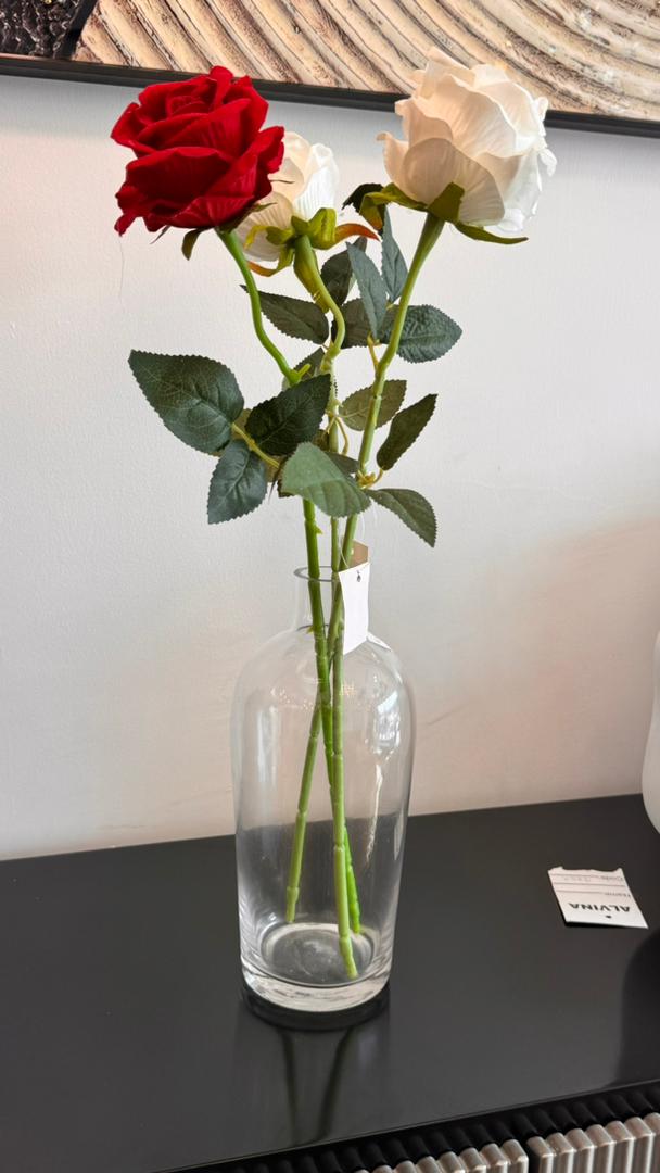 Vase and rose