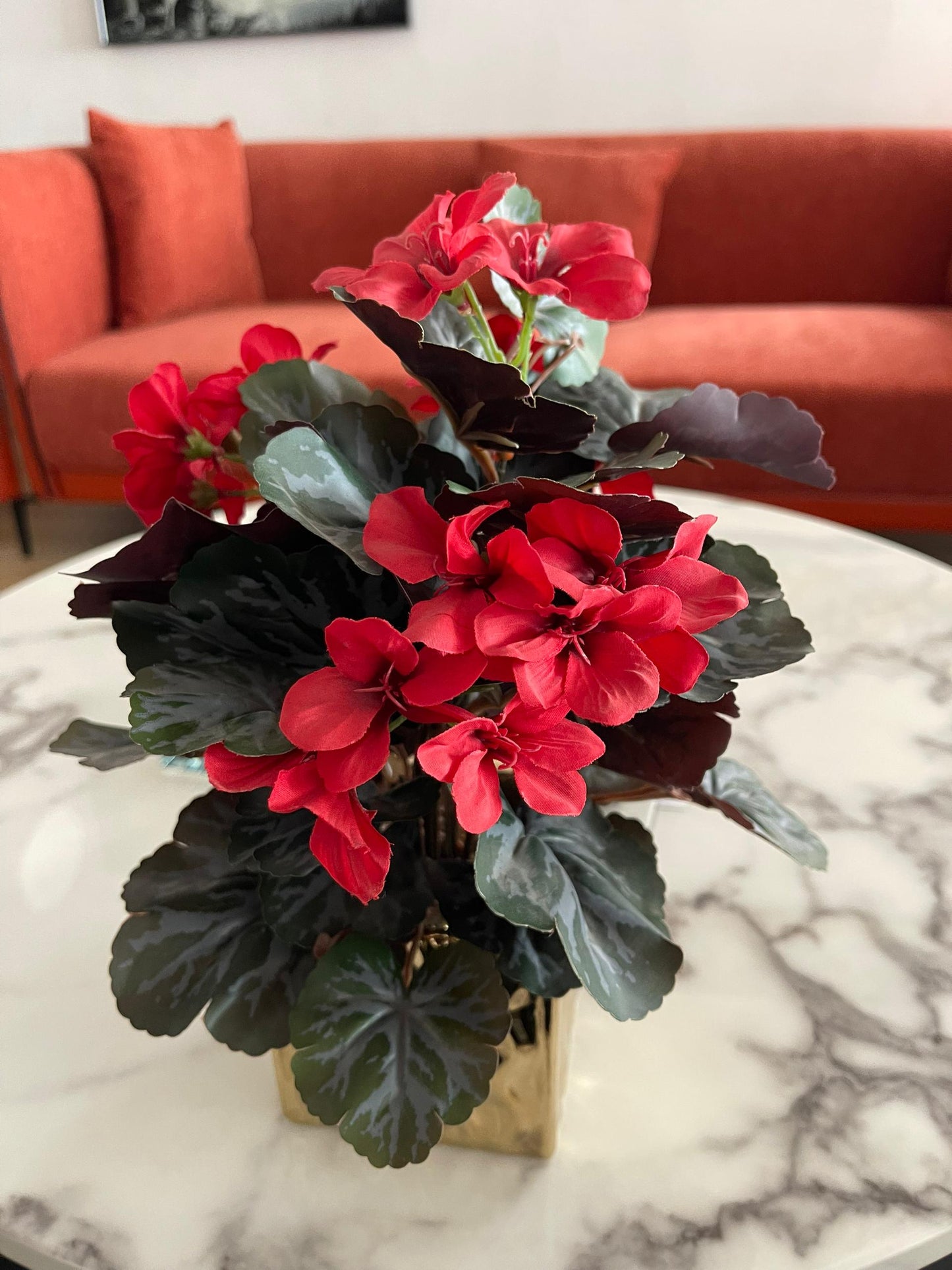 Table plant