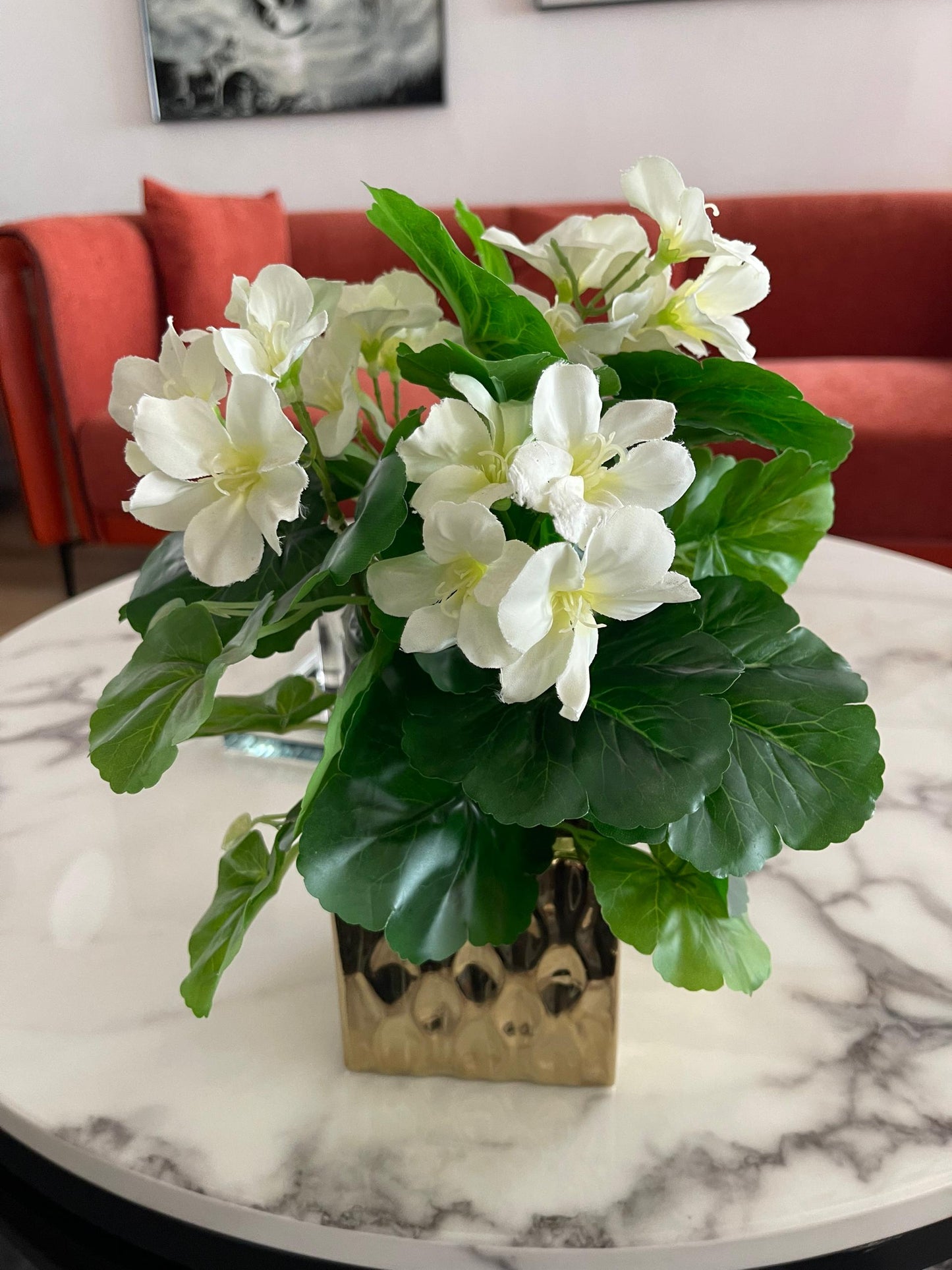 Table plant