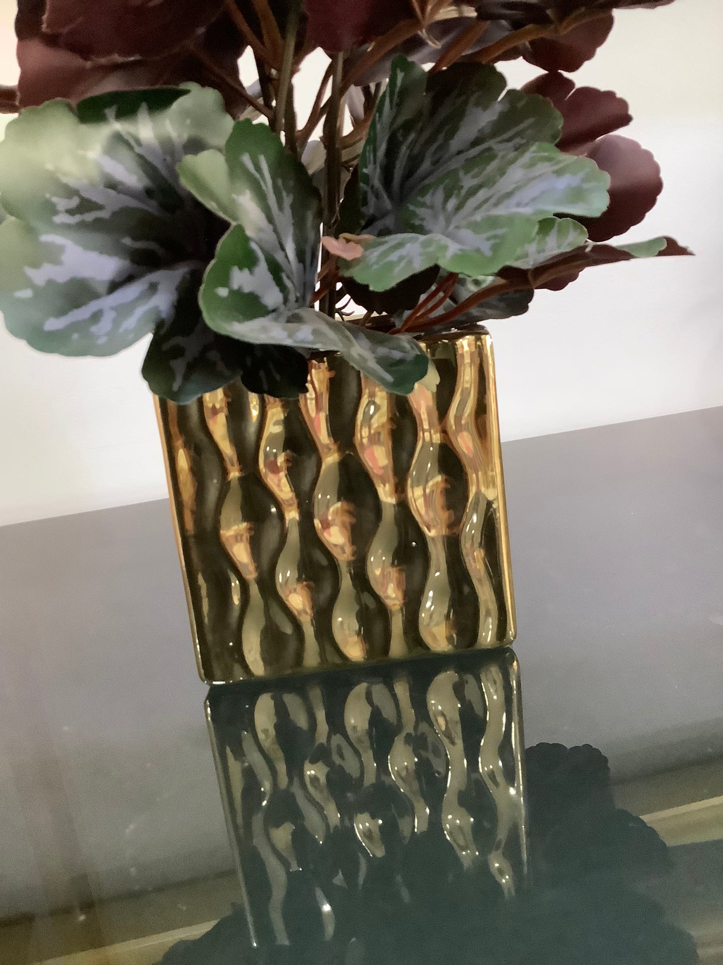 Table plant