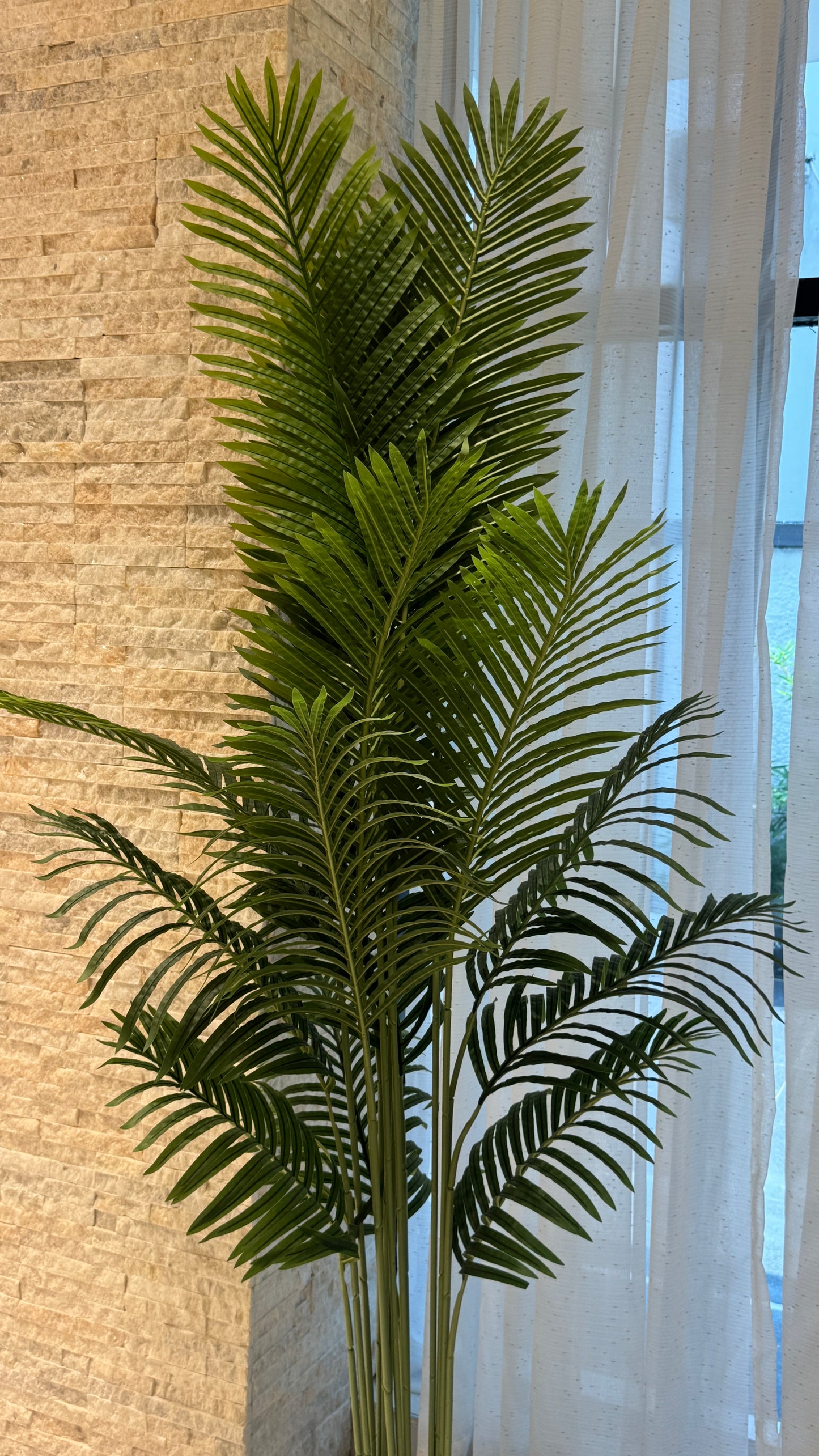 Faux palm PLT01