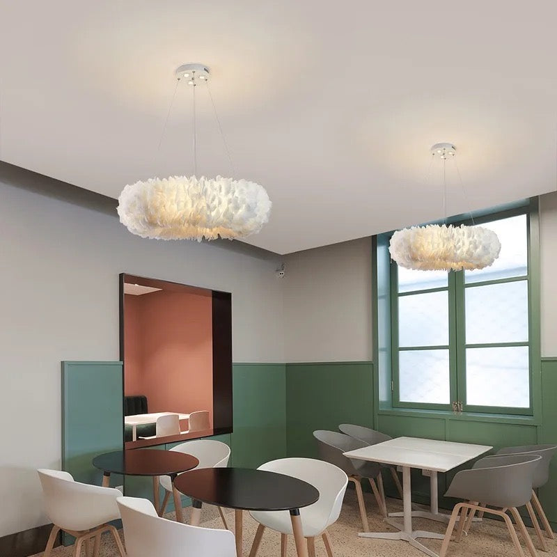 Feather chandelier