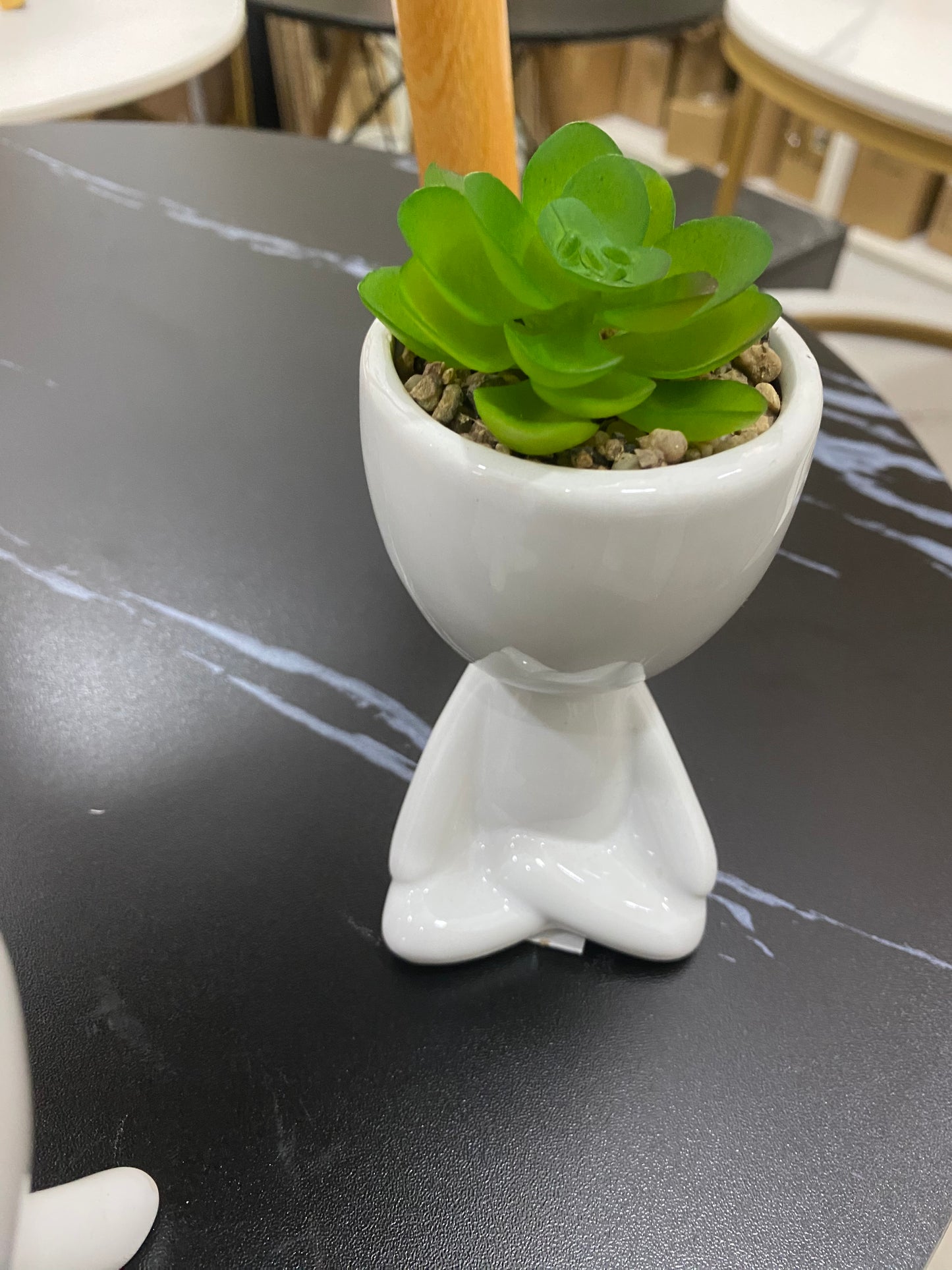 Table plant