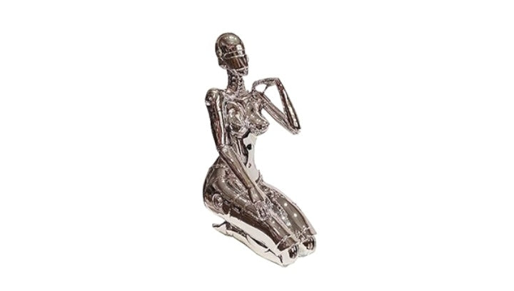 Human robot decor
