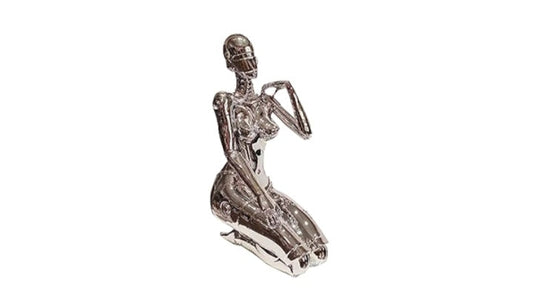 Human robot decor