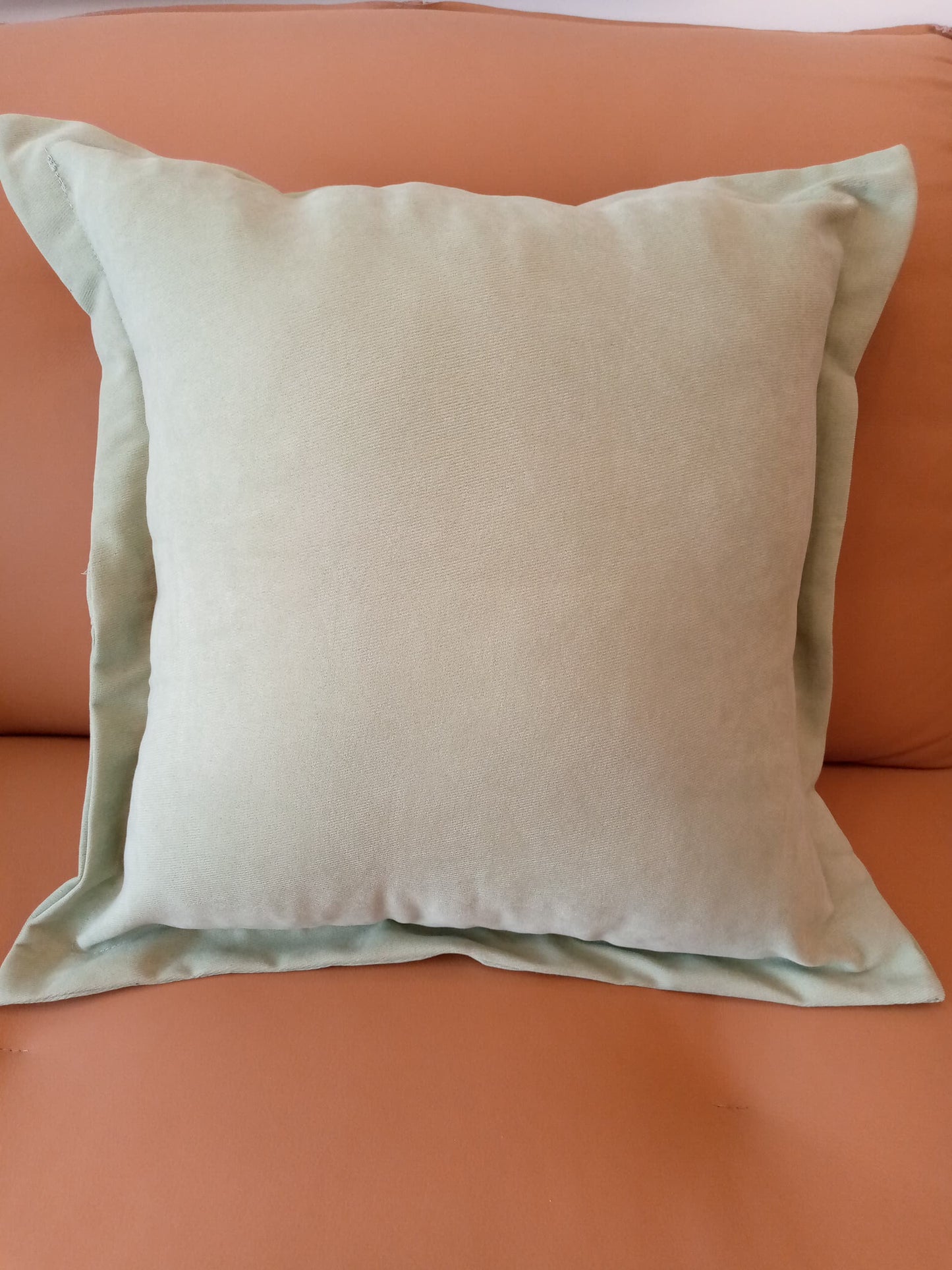 Throw pillows