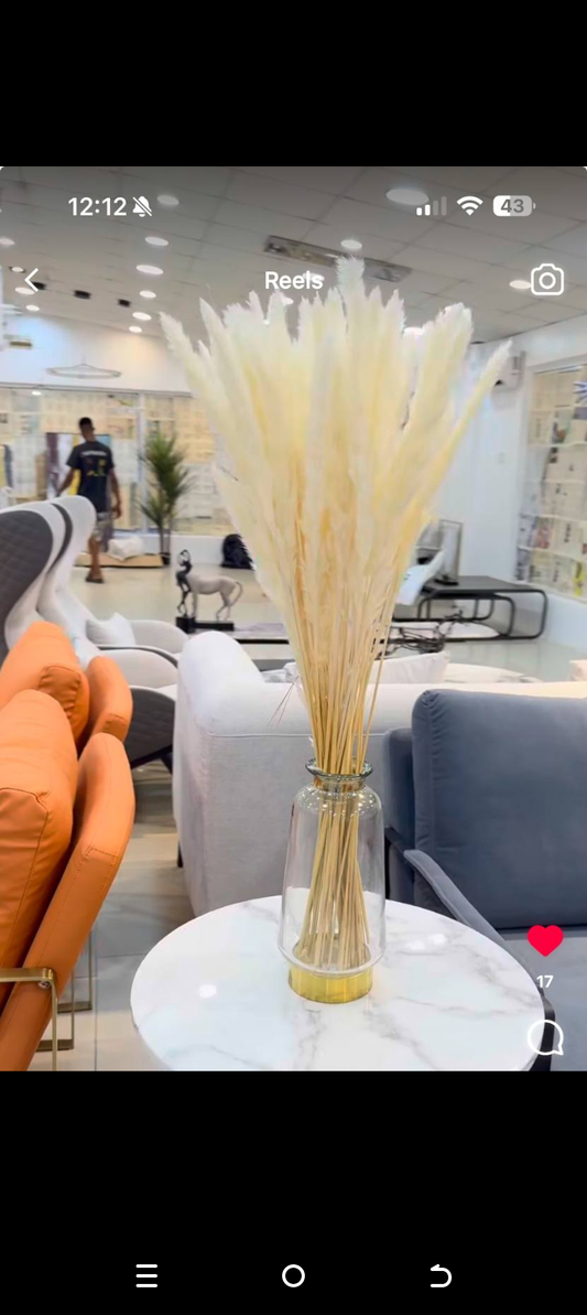 Vase and pampers