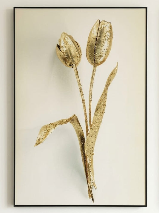 EC15 80 by 120cm crystal Frame