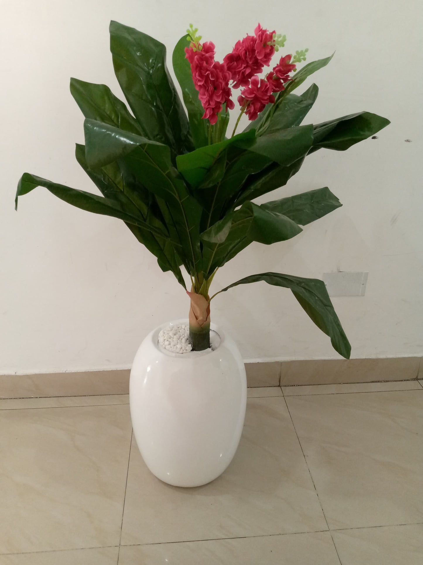 Medium fibre pot with plant