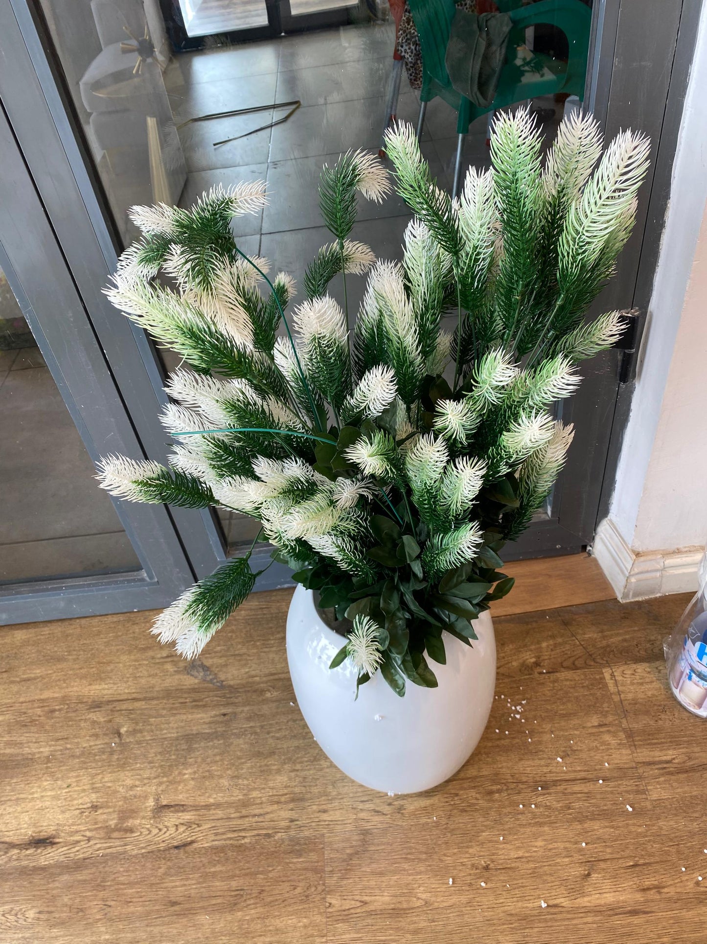 Medium fibre pot and plant