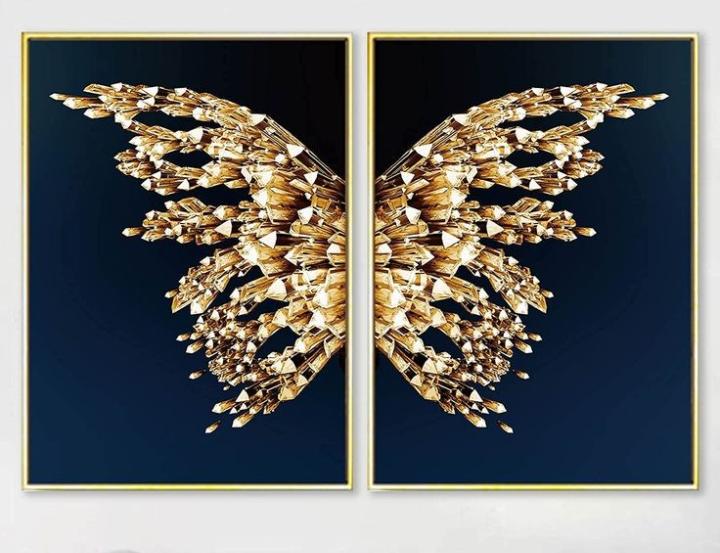 B21 2 in 1 60 by 80cm crystal frame