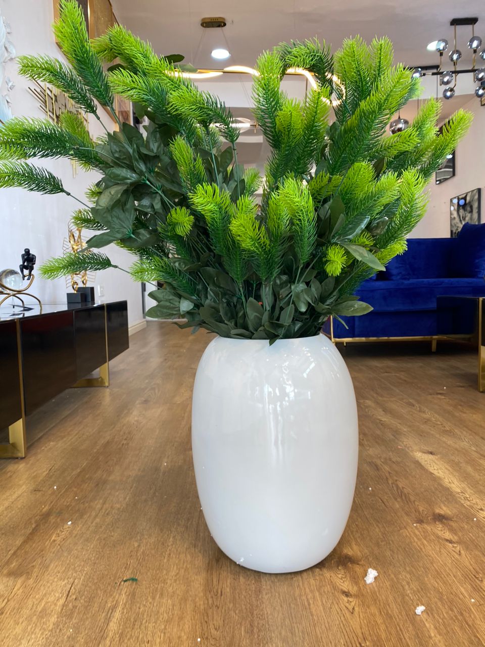 Medium fibre pot and plant