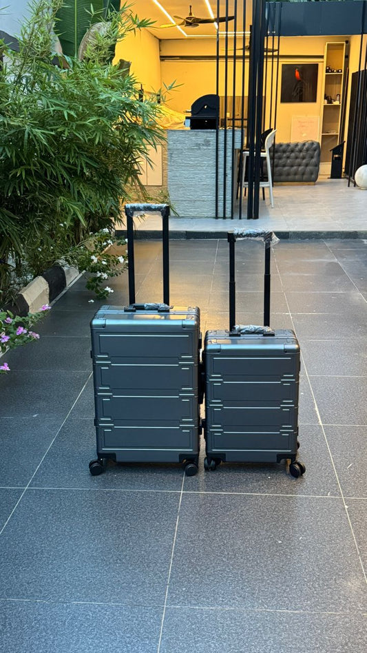 2 in 1 luggage