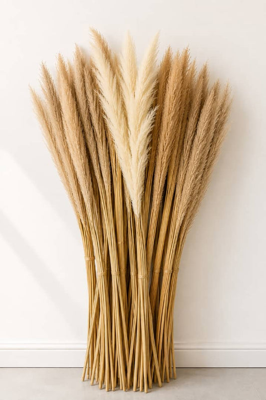 Pampers (Wheat)