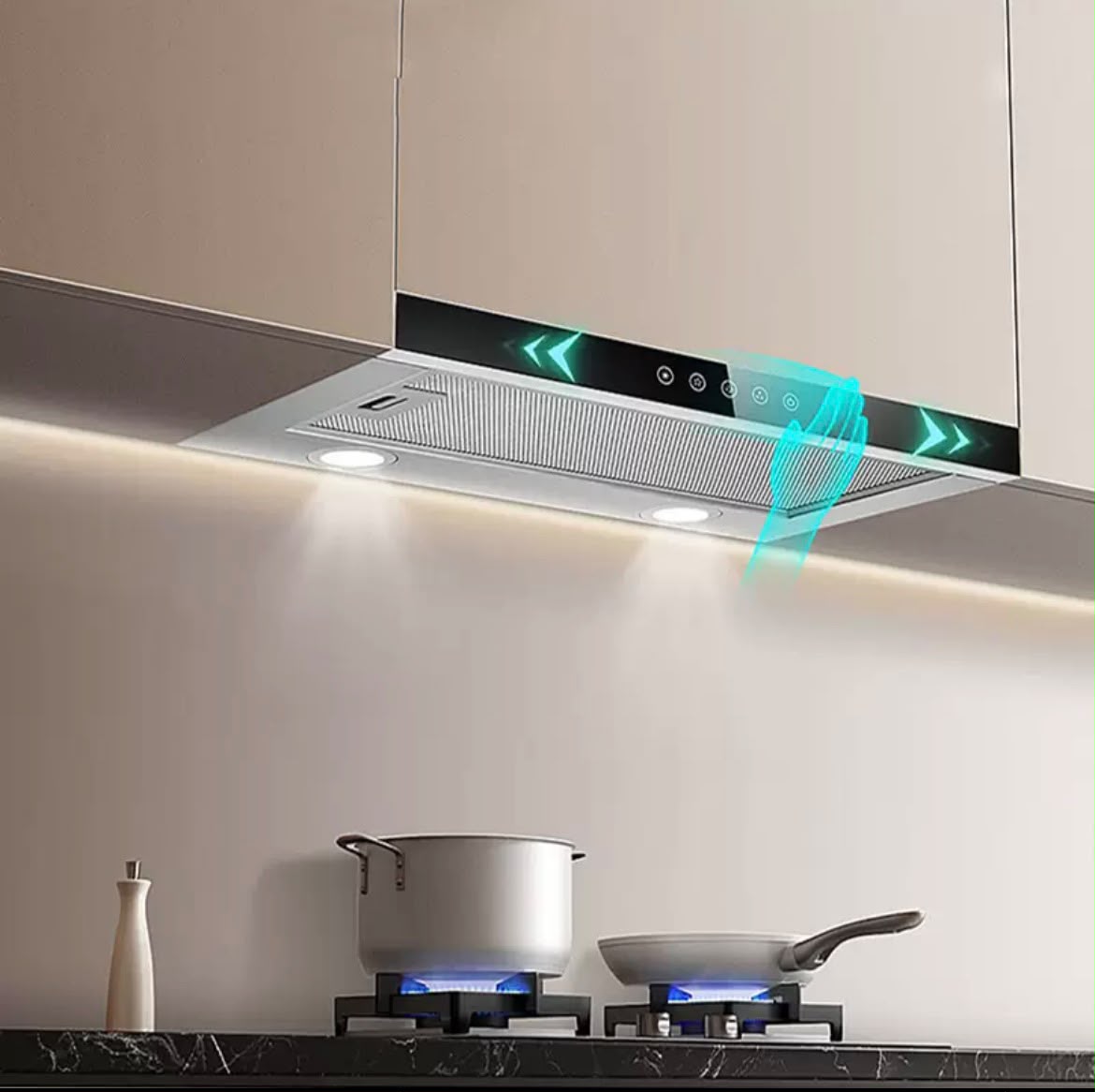 Pull out Range hood