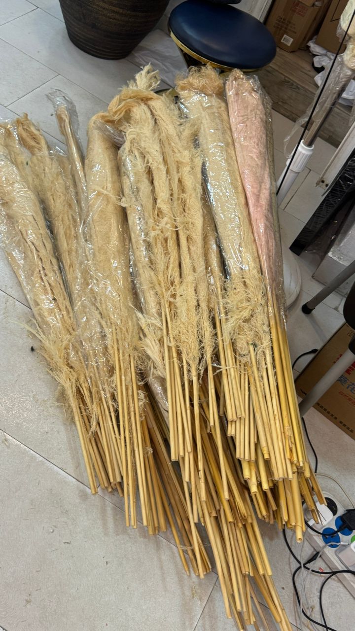 Pampers grass