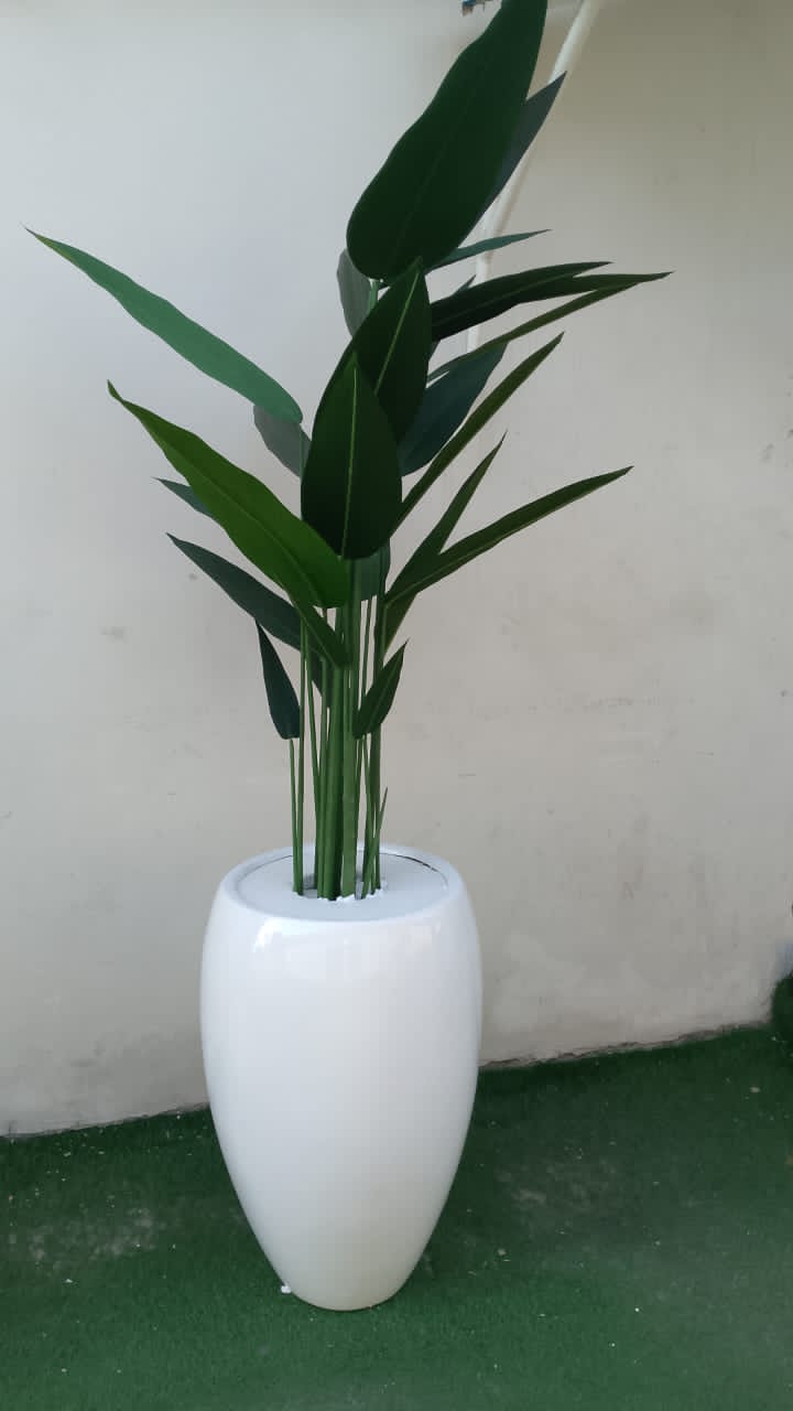 Biggest Fibre pot and planter
