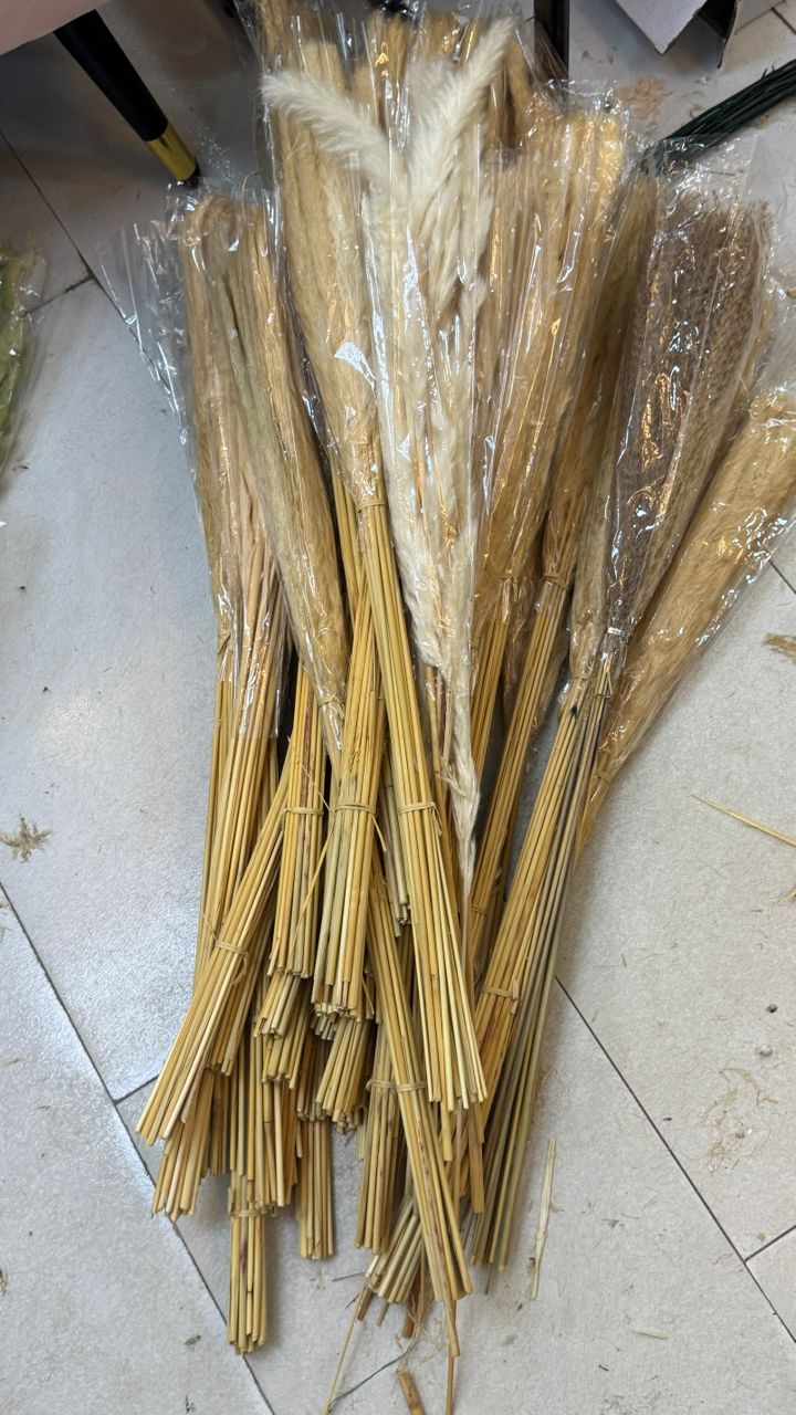 Pampers (Wheat)