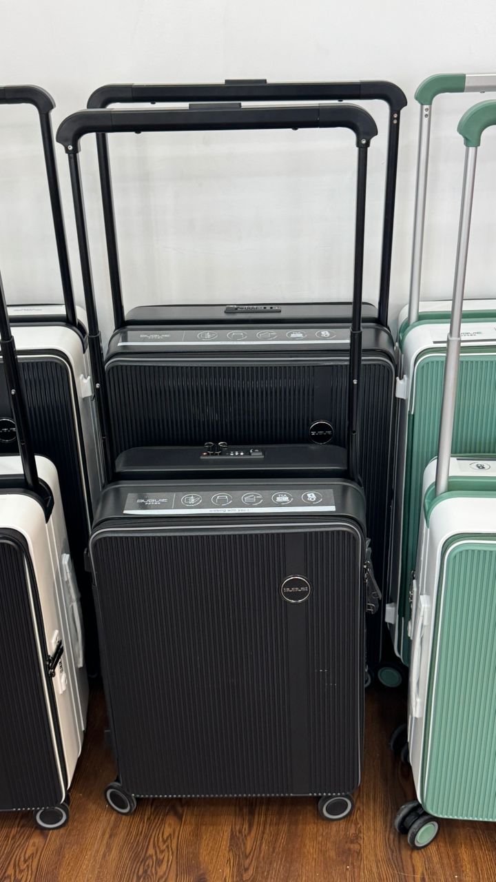 2 in 1 luggage sets